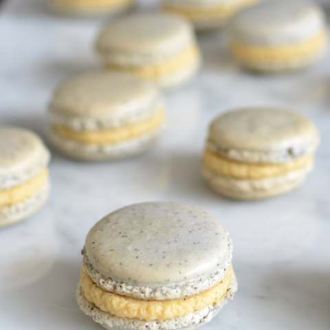 Valentines Macarons