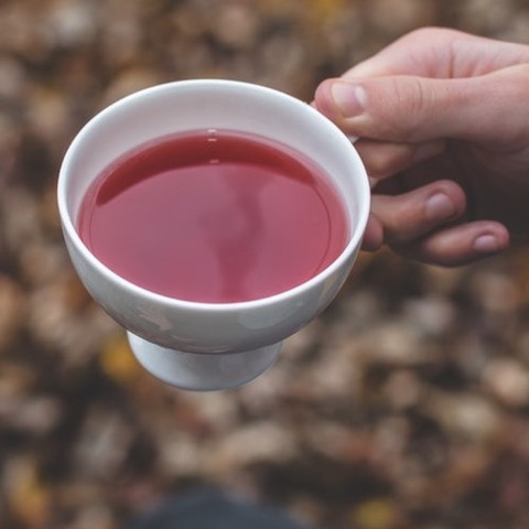 Gunpowder Hibiscus Tea