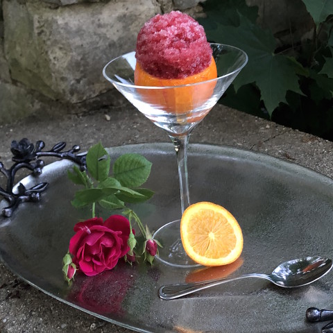 Blood Orange Granita