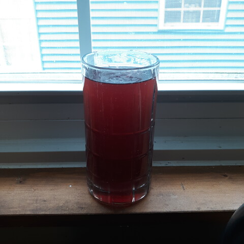 Butterfly peaflower Arnold Palmer