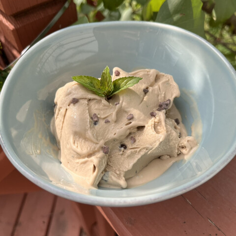 Mint Chocolate Chip Ice Cream