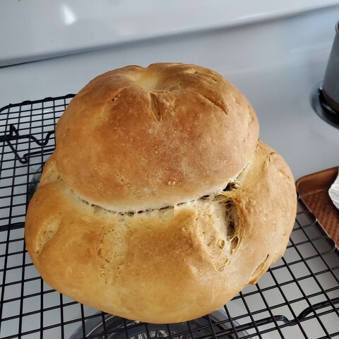 Orange Cranberry Cottage Loaf