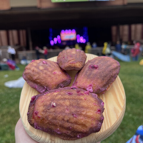 April Madeleines