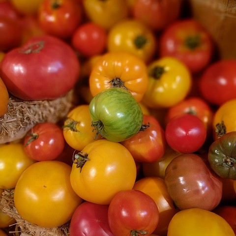 Heirloom Tomato Salad With Chamomile Vinaigrette